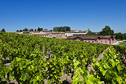 Pauillac