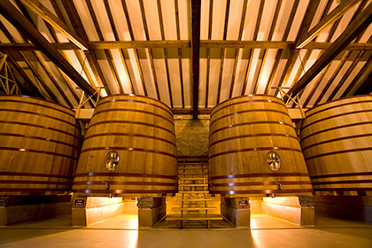 La Rioja cellar