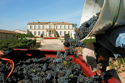 Saint-Julien wine