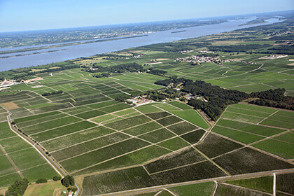 Château Talbot – vignoble vue du ciel