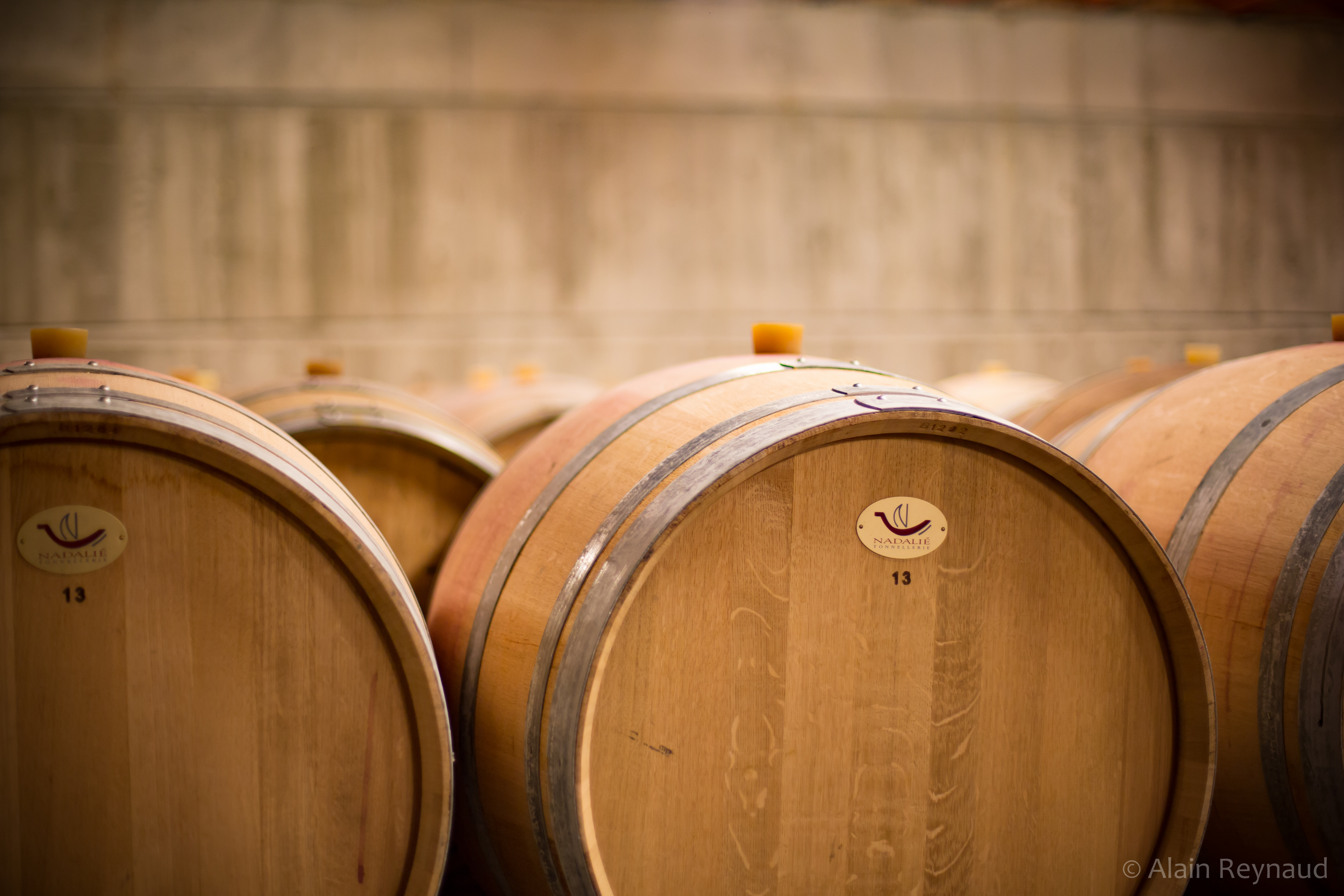Élevage des vins en fûts de chêne en Vallée du Rhône sud 