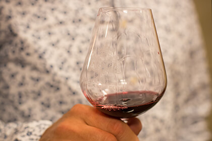 Vin rouge Vallée du Rhône sud Xavier Vignon 