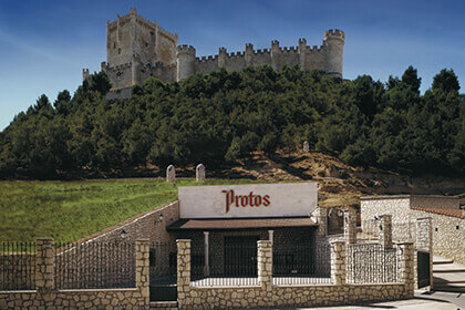 Bodegas Protos