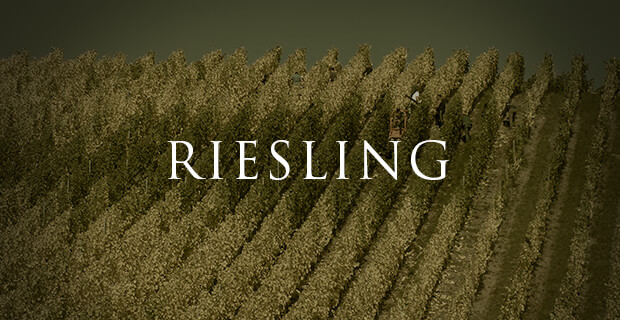 Riesling wine