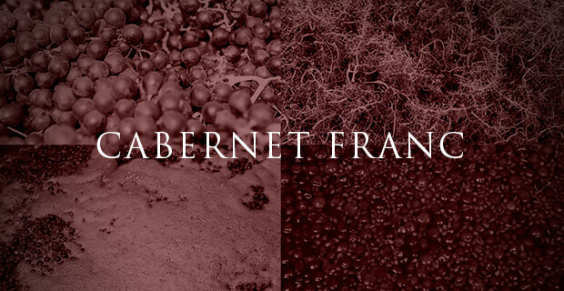  cabernet franc, uva, vitigno 