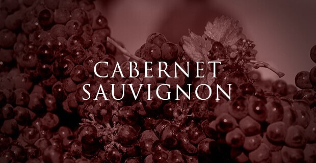 Cepage Cabernet Sauvignon