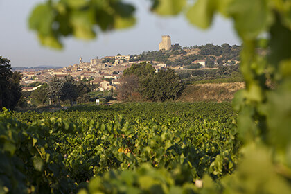 Chateauneuf Du Pape Chateauneuf Du Pape Vin Millesima Fr