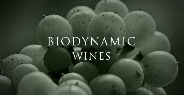 biodynamic wines