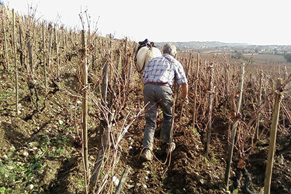 Domaine Marc Sorrel