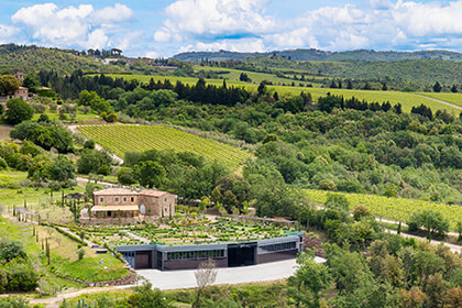 Italian wines, Tenuta Luce della Vite