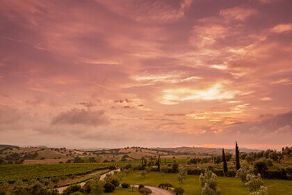 Tenuta Ammiraglia