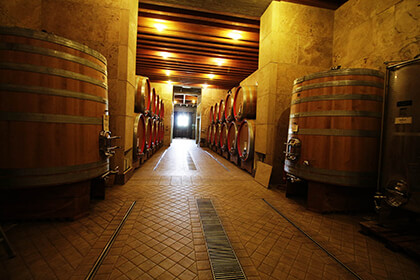 Italian wines, MARCO FICHERA - CKLAB.IT