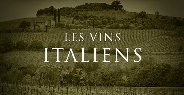 Vins d'Italie : zoom sur le Piémont et la Toscane - Autour du vin