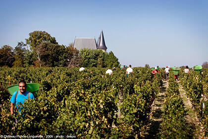 Pichon Barron 2