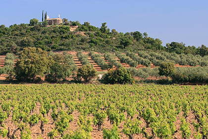 Château Léoube