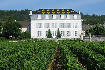 Chateau de la Maltroye