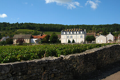 Chateau de la Maltroye