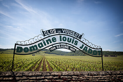 Louis Jadot wine