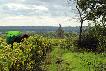 Clos de Bourg vineyard at Domaine Huet