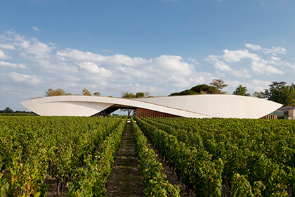 Chai Cheval Blanc