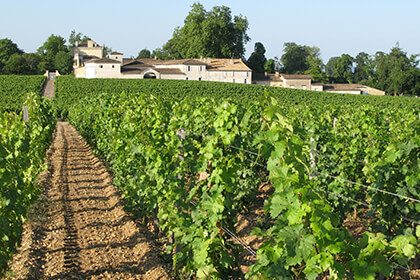 Chateau Figeac