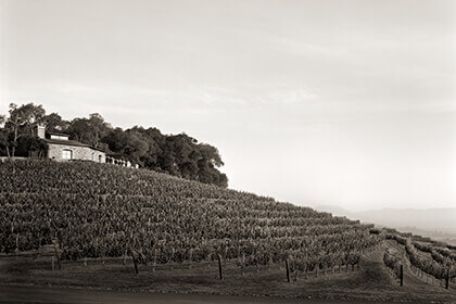 Harlan Estate, Harlan wines