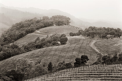 Harlan Estate, Harlan wines