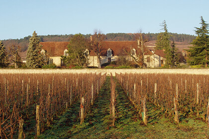 Domaine Dujac wines
