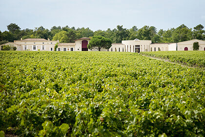 Domaine de Chevalier