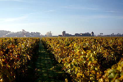 Château Smith Haut Lafitte