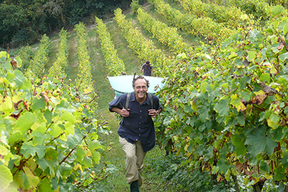 Nicolas Joly in the vineyard