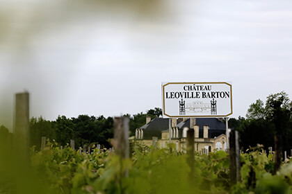 Chateau Leoville Barton vineyard