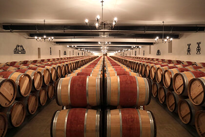 Chateau Leoville Barton cellar