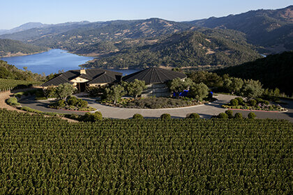 Colgin Cellars winery