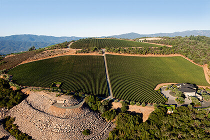 Colgin Cellars, Napa Valley