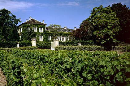 Cépages Château Talbot 