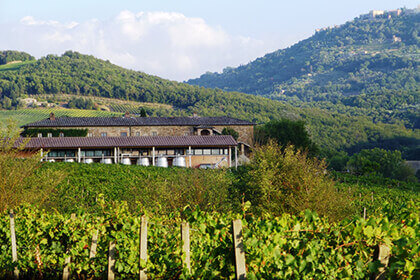 Donatella Cinelli Colombini, Grandi vini di Toscana 