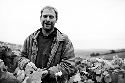 Patrick Piuze in the vineyard