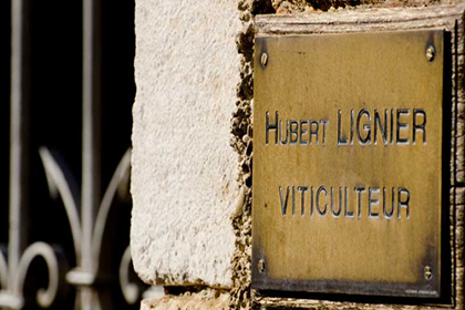 Hubert Lignier wine