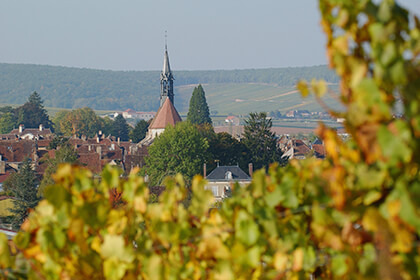 Domaine Laroche