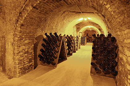 Magnums aging in the Champage Gosset cellar