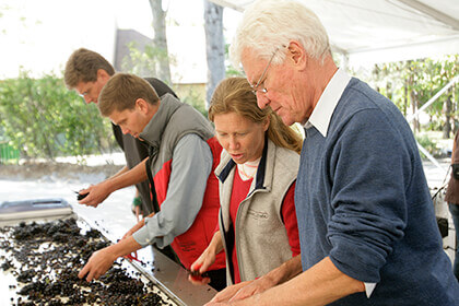 Producer Joseph Drouhin