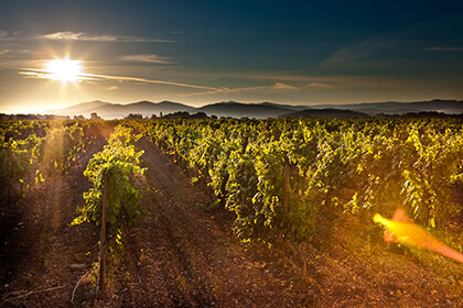 Provence 3