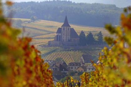 Alsace wine