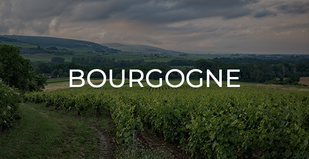 Vins de Bourgogne