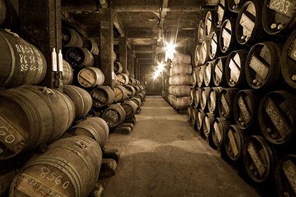 Chai à barriques Lopez de Heredia Rioja Espagne 