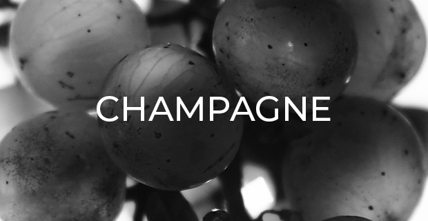 Champagne wines