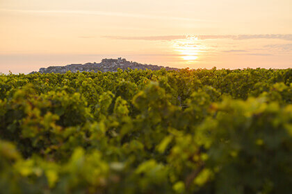 Sancerre