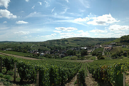 Sancerre 2