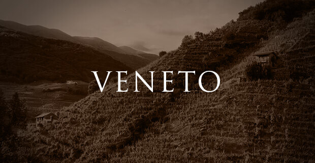 Veneto wines